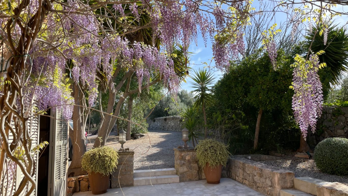 Zugang vom Parkplatz